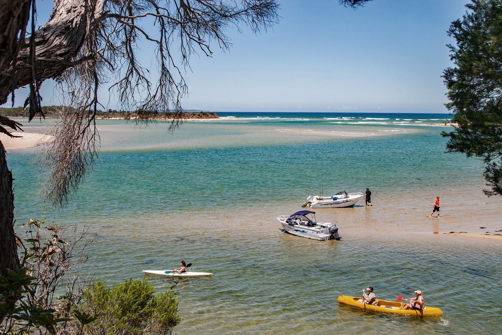 Guided Birdwatching Cruises on the Mallacoota Inlet — Now Easier Than Ever to Book